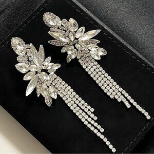 ✨Stunning Tassel Rhinestones Earrings